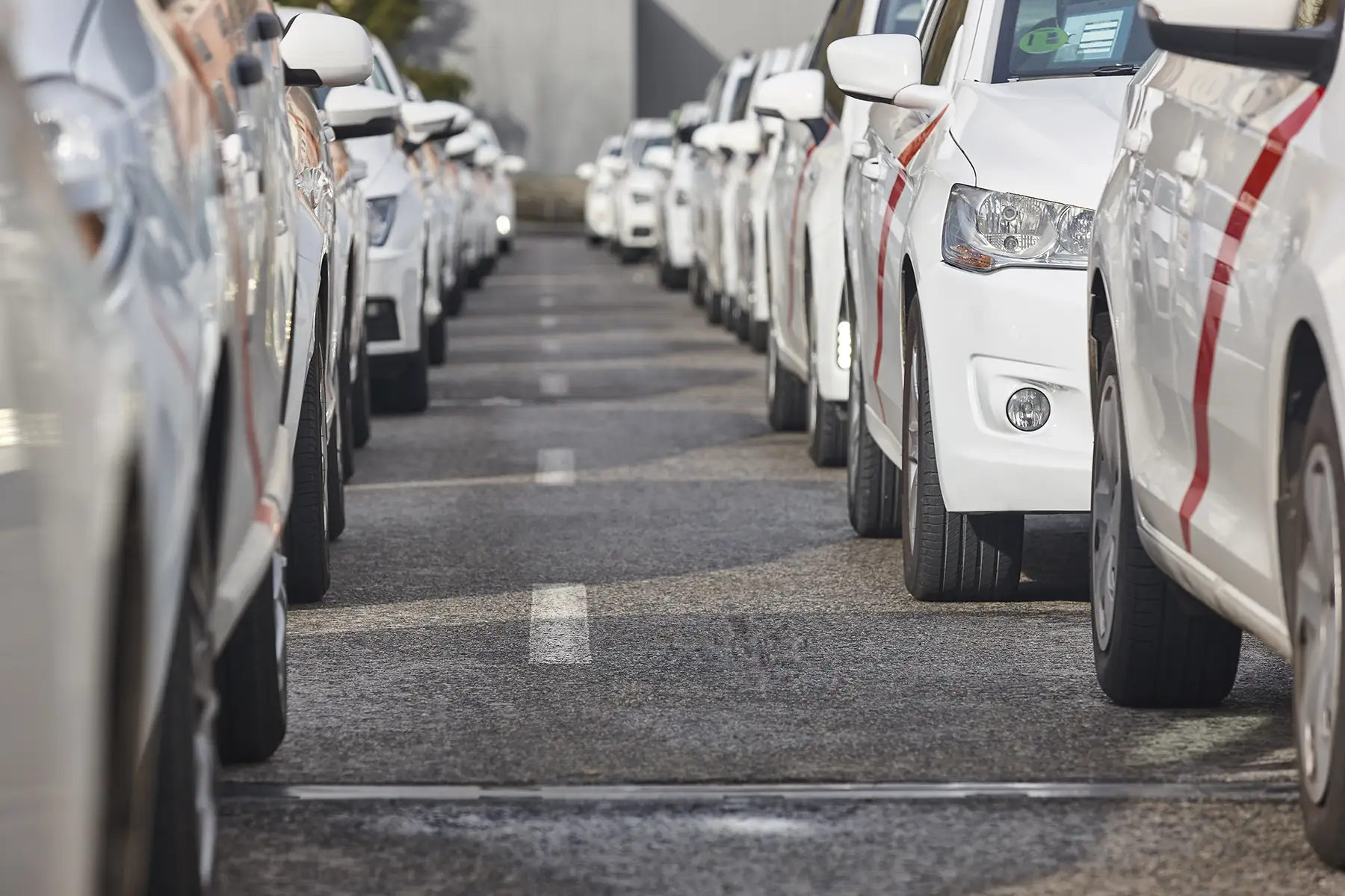 Rows of rental vehicles ready for dispatch