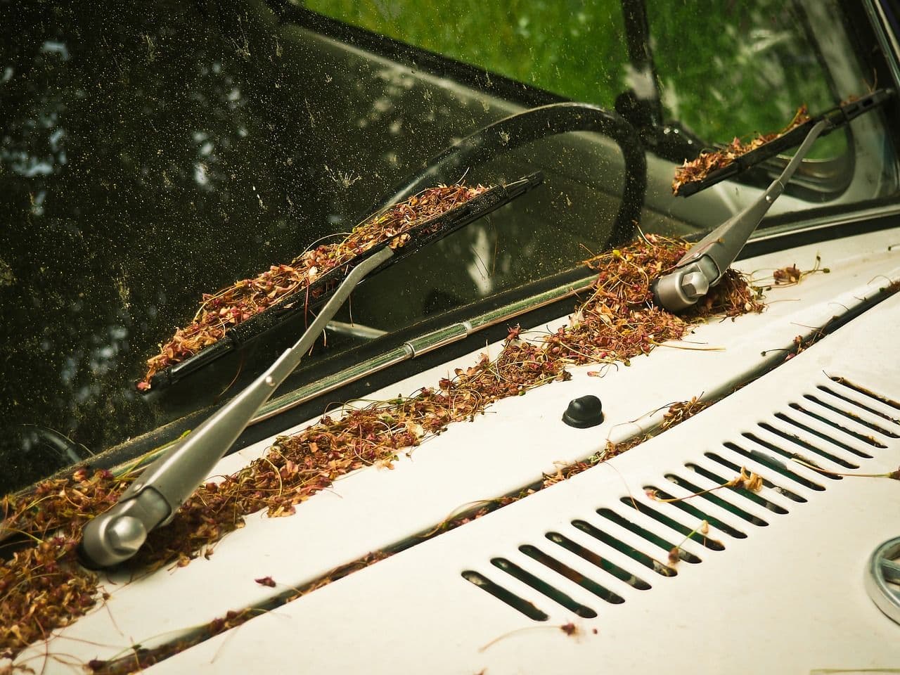 Car maintenance tips in warm weather